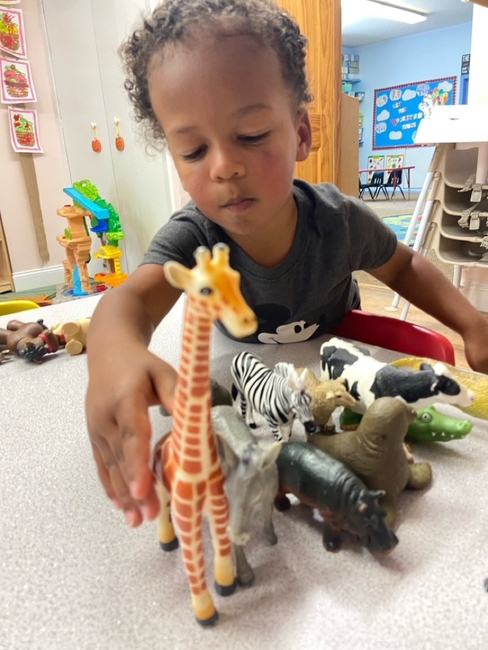 Pee Wee Folks Toddlers - media images images 940 052 455 thumb 7939135727145f5a8c3cfbf600b37536